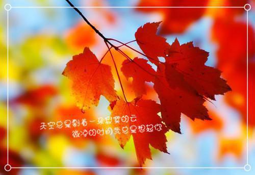 孟晚沈括是哪部小说 迦南再无你的笑颜最新章节免费阅读