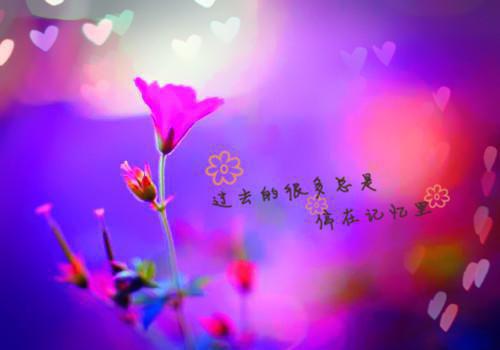 沈青禾周文渊张桂芳什么关系 退婚后,婆婆后悔了笔趣阁最新章节