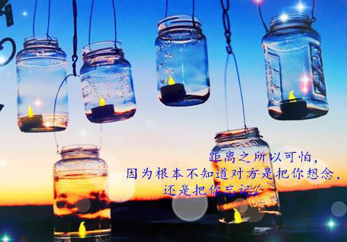霍远峥夏安歌免费阅读最新章节 夜雨不尽桐花香：后续by侠名免费阅读