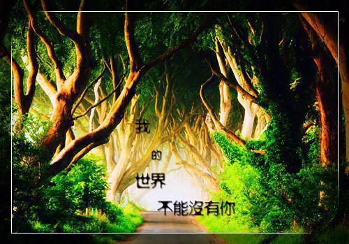 温清瑶顾云奕小说叫什么名字 如果爱没说出口短篇小说