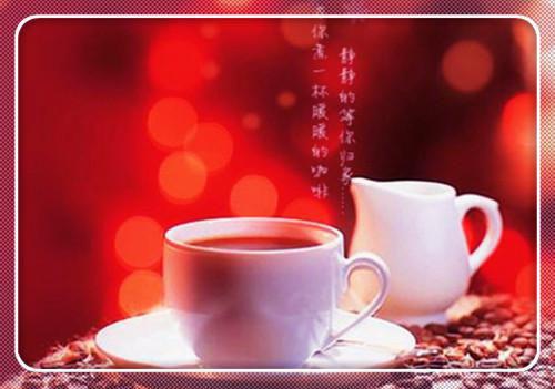 全家抛下查出蝴蝶病的我跑路后，我才知道他们是首富（陆嘉月）小说已完结，全家抛下查出蝴蝶病的我跑路后，我才知道他们是首富免费阅读全文