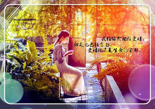 凌霜秦砚洲夏若浅笔趣阁免费阅读 雾里探星见你：后续结局