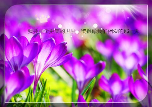 林亦霜顾淮川免费阅读最新章节 错把契约当爱意免费阅读小说