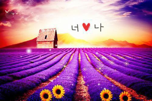 高英杰小说名字 经济掌控小说正版阅读