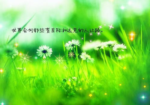 纪清颜纪琛陆景然纪明月大结局后续 云海携风赴归期全文最新更新内容