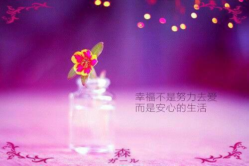 纸短情长终成空:+后续+结局(倪蓝程湛)全文免费阅读无弹窗大结局_纸短情长终成空:+后续+结局(倪蓝程湛)最新章节列表_笔趣阁(倪蓝程湛)