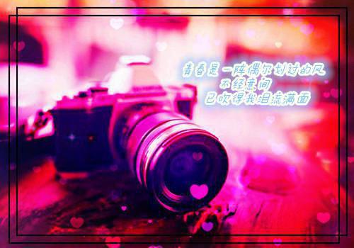 时妤陆庭安贺北周是哪部小说 情起回声原著在线阅读