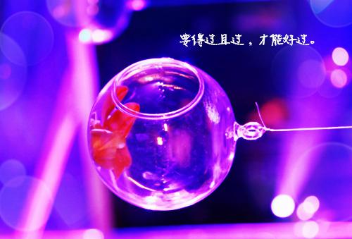 陆温杳霍祁钺:前言+后续（霍祁钺陆温杳）陆温杳霍祁钺:前言+后续全文在线阅读无弹窗结局_（霍祁钺陆温杳）霍祁钺陆温杳结局章节列表_笔趣阁（陆温杳霍祁钺:前言+后续）