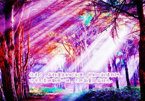 风玄小说叫什么 斗罗武魂人皇幡，且入内一叙免费阅读小说