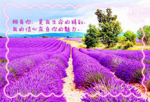 方杨夏雨沫周启明沈凯小说 送外卖帮女住户扔垃圾后我惹上了大麻烦笔趣阁最新章节