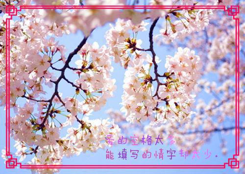 王晓月张明宇王天健小说 给村子修路的土豪是我姘头知乎小说