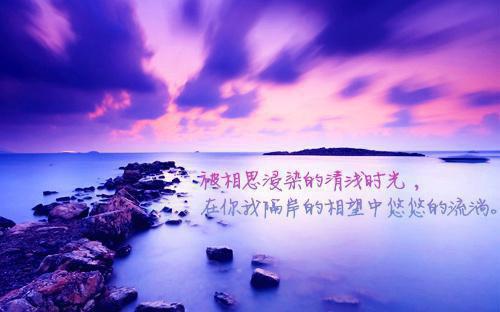 沈从灵顾衍之和谁在一起了 人间孤鸿照影烬：番外男主沈从灵顾衍之小说