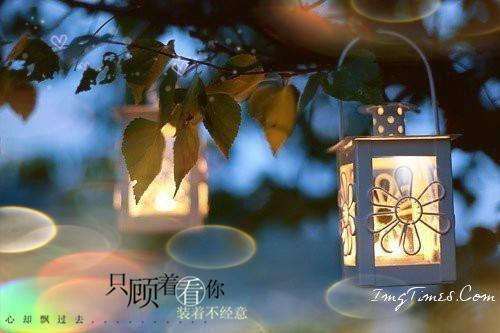 许妍宋闻洲顾景琛傅京墨沈淮之裴寂林赊月笔趣阁免费阅读 情似残梦随风逝小说许妍宋闻洲顾景琛傅京墨沈淮之裴寂林赊月免费阅读