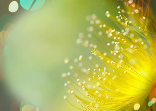 苏言夏陆晏时免费阅读 苏言夏陆晏时免费阅读全文