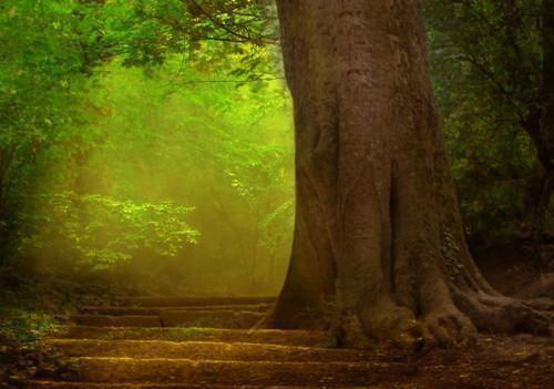 陆风宸谢清宜小说免费阅读 谢清宜陆风宸by玄机子