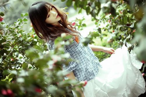 许圆月和谁在一起了 慈乌守故林全文最新更新内容