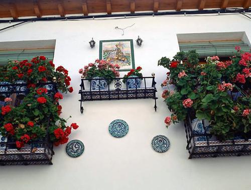 纪怀砚姜初宁最新章节列表 姜初宁纪怀砚纪怀砚姜初宁小说