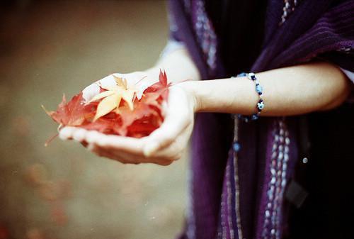 曲若凝贺辞洲是哪部小说 雨夜诱引by佚名免费阅读