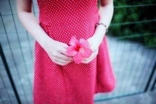 曲若棠钟泊礼结局 今夜海棠离旧港笔趣阁