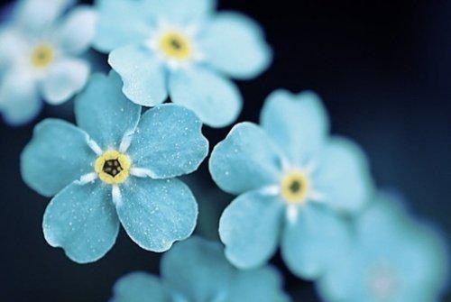 夫君逼我祭舞，我却请来邪神毁天灭地苏玉华晏珩全文阅读_夫君逼我祭舞，我却请来邪神毁天灭地苏玉华晏珩全文免费阅读