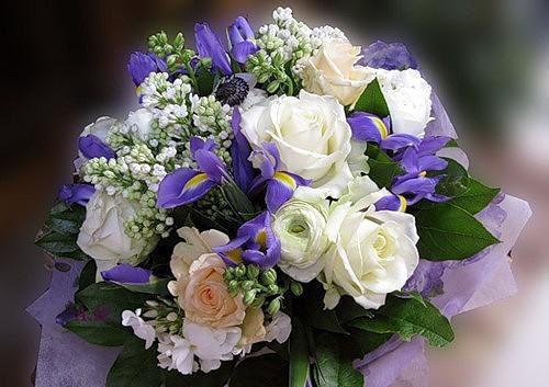 赵岁宁蒋月蒋言希笔趣阁免费阅读 以控为名最新章节更新