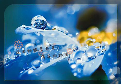 林若宁顾浩明张民玲笔趣阁免费阅读 剥夺我探亲日的未婚夫,悔疯了完整版