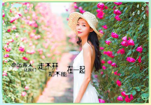 郁禾林以深免费阅读最新章节结局 迟来的深情：她嫌脏了完整版