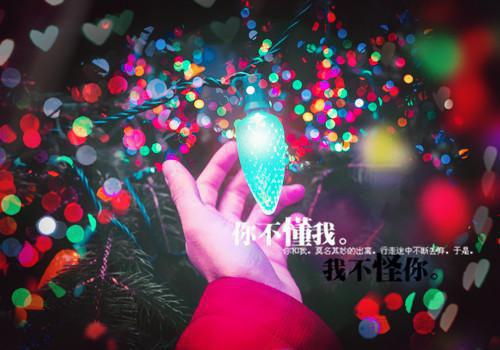 母亲心脏被挖，律师妻子为凶手做无罪辩护最新小说（陆时川林晚星）全文阅读