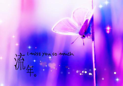 (番外)+(全文)浮灯灿烂一朝爆款宝藏+免费下载阅读_(梁明昭沈砚卿梁明昭)浮灯灿烂一朝爆款宝藏最新章节列表_笔趣阁（梁明昭沈砚卿梁明昭）