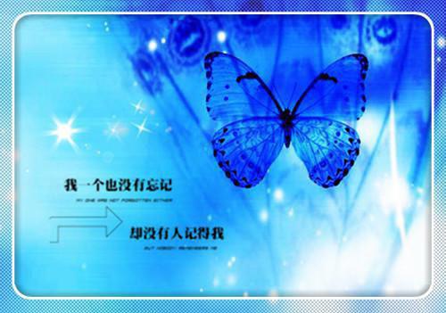 我妹妹陈林周正是哪部小说 不负春光全文最新更新内容