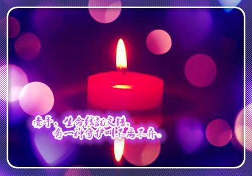 顾南啸顾凛骁苏雨茗结局 顾南啸苏雨茗by无名氏