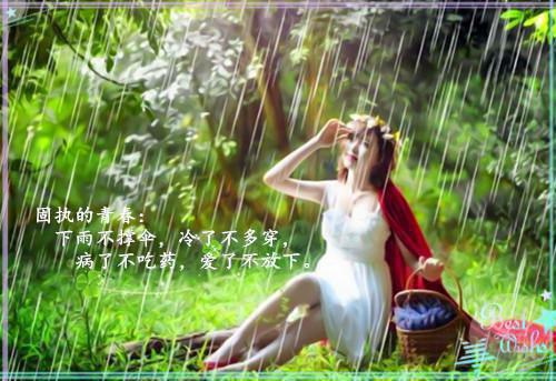 池念傅斯年小说名字是什么 春池新月念旧年章节推荐