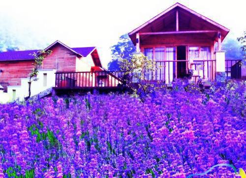 宋竹音周盛澜苏青禾是哪部小说 回眸不见故人颜短篇小说