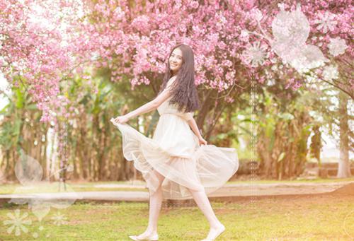 流光错系断蓬之舟：在线(沈煜谢晚烟)最新好看小说_完整版免费阅读流光错系断蓬之舟：在线(沈煜谢晚烟)