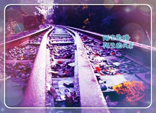 秦念初顾宸煜是哪部小说 雁门关的落日全文阅读