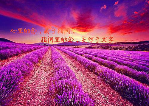 爱你的第零天：+后续+结局小说（纪裴舟林苒桑柠）免费热文在线阅读无弹窗_爱你的第零天：+后续+结局最新章节阅读全文（纪裴舟林苒桑柠）