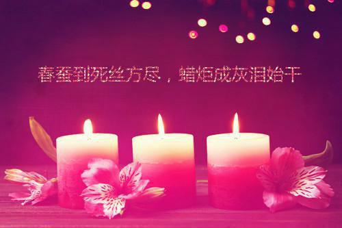 阮南乔陆泽川小说在线阅读 玫瑰不等他来摘免费阅读阮南乔陆泽川小说