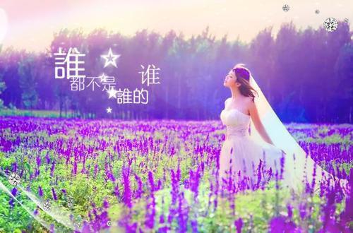 洛幽幽的小说叫什么 二版《被无情道首席拒绝后我飞升了》洛幽幽 谢无妄洛幽幽全文