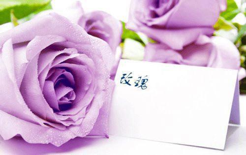 温清瑶顾云奕什么关系 如果爱没说出口小说完整版免费