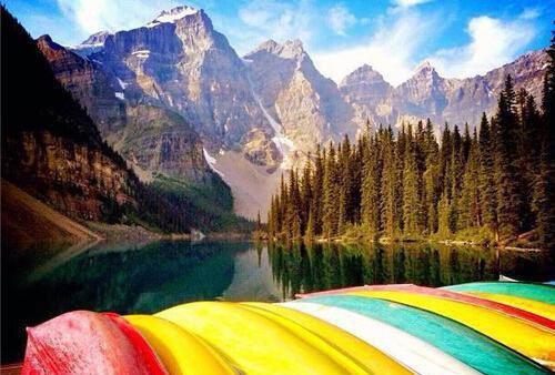 最新章节离婚后，逼我参加亲子节目的总裁老公悔疯了（谢昀谢柔）_离婚后，逼我参加亲子节目的总裁老公悔疯了谢昀谢柔最新章节