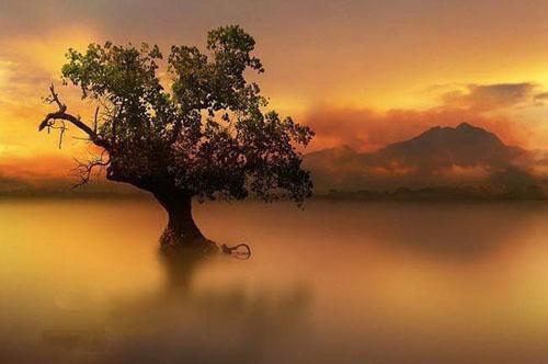 沈潇颐谢璟煜最新章节列表 红颜泪知乎小说