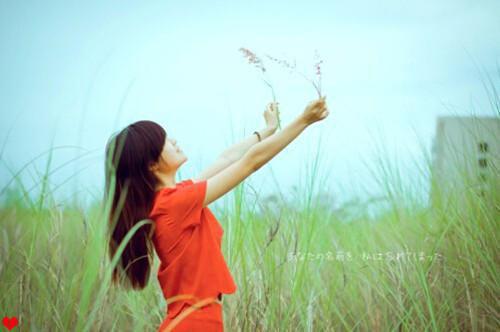 杜青蘅沈湛的小说叫什么 青梦幽情by侠名