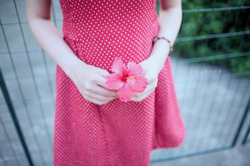 沈清舟沈月儿沈廷舟裴景云小说免费阅读最新章节 全家嫌我铜臭,我反手挣个封号小说沈清舟沈月儿沈廷舟裴景云免费阅读全文