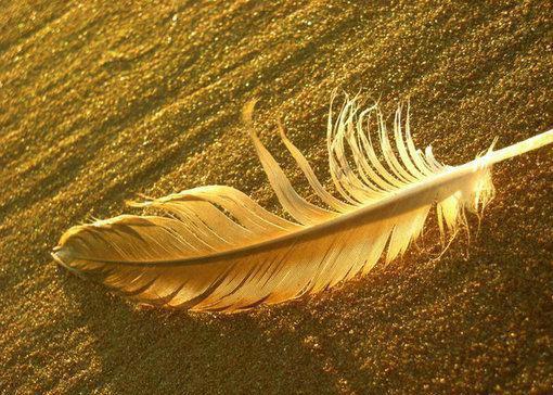 凤疏棠玄霁盼儿免费阅读 凤疏棠玄霁小说完整版免费