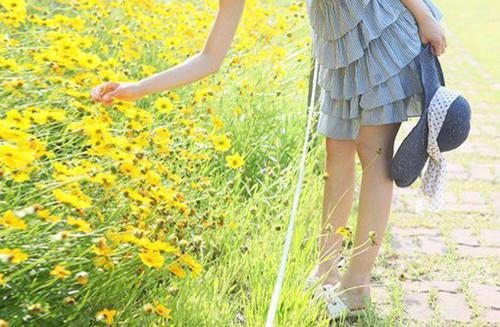 温知夏谢晏辞结局 爱意东流全文最新更新内容