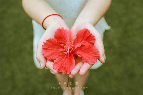 宋听依霍砚知秦清妩小说在线阅读 误将晚霞落黄昏免费阅读小说