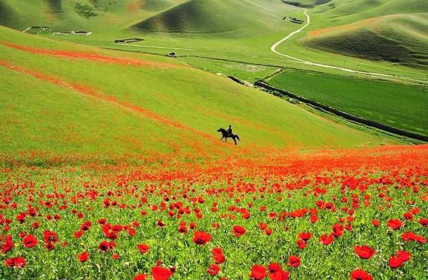 时薇江淮林楚楚小说名字 看到弹幕后我亲手撕了女配剧本小说正版免费阅读