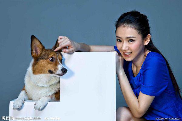 温时安白柏言宋诗苒最新章节更新 重生回来,我笑看青梅上五道口小说完整版免费