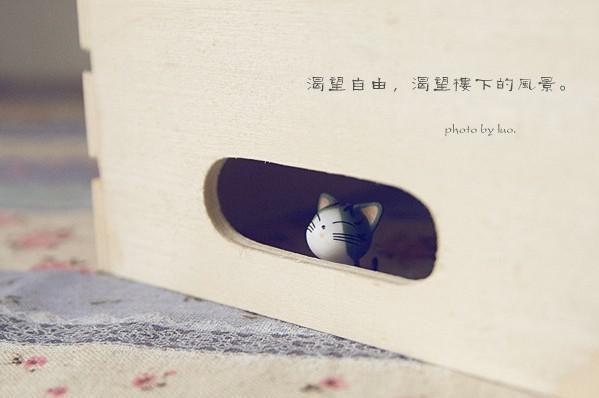 阮时音段暮尘许念小说免费阅读 再许你韶华如梦：番外（无名氏）免费阅读