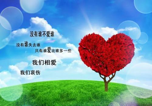 宋哲小怡小说 良人已负，心火难熄最新章节免费阅读